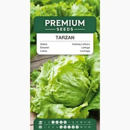 nasiona-salata-tarzan-lodowa-do-salatek-swieze-warzywa-premium-seeds-1-g