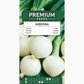nasiona-cebula-hiberna-odmiana-srednio-wczesna-zimowa-premium-seeds-2-g