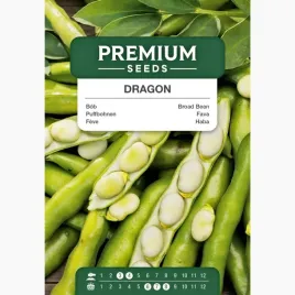 nasiona-bob-dragon-plenny-duze-ziarna-straki-do-ogrodu-premium-seeds-50g