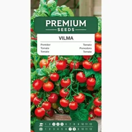 nasiona-pomidor-vilma-czerwony-drobny-do-doniczki-balkon-premium-seeds-02g