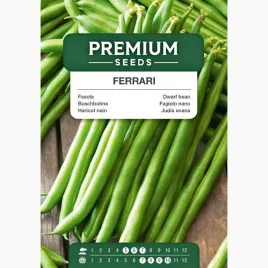 nasiona-fasola-ferrari-szparagowa-wysoki-plon-do-uprawy-premium-seeds-30-g