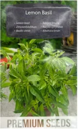 nasiona-bazylia-cytrynowa-lemon-basil-aromatyczna-ziola-premium-seeds-05g