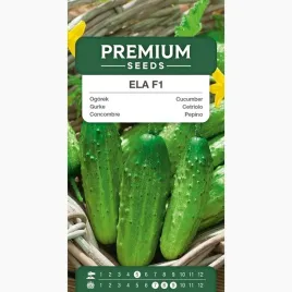nasiona-ogorek-ela-f1-do-uprawy-gruntowej-wczesny-plenny-premium-seeds-5-g