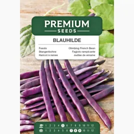 nasiona-fasola-blauhilde-szparagowa-fioletowa-plenna-premium-seeds-10-g