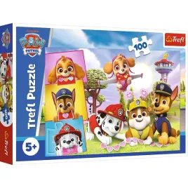 16520-100-nieustraszone-dziewczyny-viacom-paw-patrol