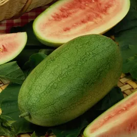 arbuz-charleston-gray-nasiona-warzyw-arbuza-odporny-slodki-plenny
