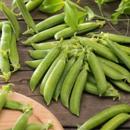 groch-luskowy-nefryt-typ-karotka-wczesna-nasiona-warzyw-grochu