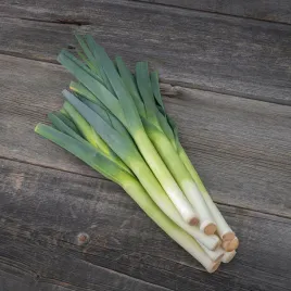 por-titus-b-plenny-na-zbior-jesienny-nasiona-warzyw