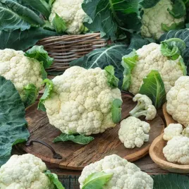 kalafior-bola-de-nieve-x-wczesny-do-bezposredniego-spozycia-nasiona-warzyw