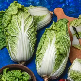 kapusta-pekinska-optiko-f2-wczesna-duze-walory-smakowe-nasiona-warzyw