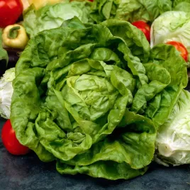 salata-glowiasta-maslowa-dippego-pozna-maslowa-duze-twarde-glowki-nasiona