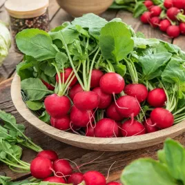 rzodkiewka-orla-okragla-czerwona-nasiona-warzyw-rzodkiewka