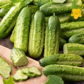 ogorek-gruntowy-konserwowy-skaner-f1-wczesna-nasiona-warzyw-nasiona-ogorkow