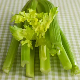 seler-naciowy-goldgelber-2-dlugi-zbior-lagodny-smak-nasiona-warzyw-seler