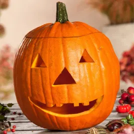 dynia-ozdobna-jadalna-jack-o-lantern-jednoroczna-idealna-na-lampiony-nasion