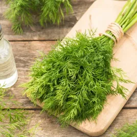 koper-ogrodowy-oliver-sr-wczesny-b-aromatyczny-nasiona-kopru-warzyw