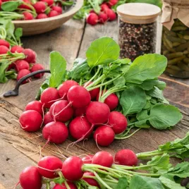 rzodkiewka-fiesta-nasiona-warzyw-rzodkiewki-zwarty-miazsz-szybko-rosnie