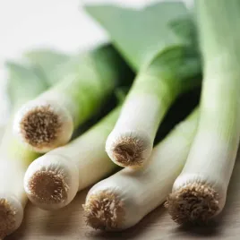 por-winner-nasiona-warzyw-pora-do-ogrodu-wysoka-plonnosc-i-odpornosc