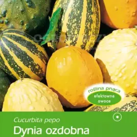dynia-ozdobna-mieszanka-nasiona-dyni-ozdobnych-mocne-ksztalty-mocne-barwy