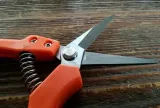 sekator-v-series-ostrze-proste-marka-bradas
