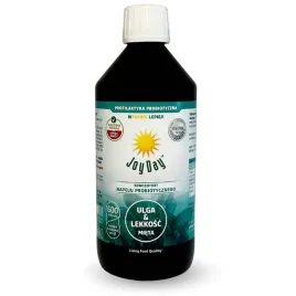 koncentrat-napoju-probiotycznego-mieta-bio-500-ml