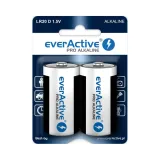 bateria-alkaliczna-everactive-d-r20-2-szt