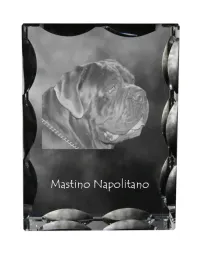 mastif-neapolitanski-neapolitan-mastiff-mastino-napoletano-krysztal-ze