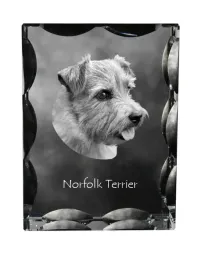 norfolk-terrier-krysztal-ze-zdjeciem-psa-szklana-statuetka-ze-zdjeciem