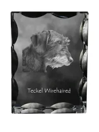 jamnik-i-krysztal-ze-zdjeciem-psa-szklana-statuetka-ze-zdjeciem-wyjatko