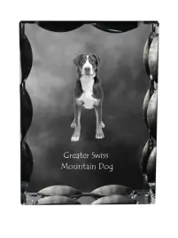 duzy-szwajcarski-pies-pasterski-krysztal-ze-zdjeciem-psa-szklana-statuet