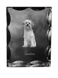 lwi-piesek-lowchen-krysztal-ze-zdjeciem-psa-szklana-statuetka-ze-zdjeci