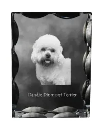 dandie-dinmont-terrier-krysztal-ze-zdjeciem-psa-szklana-statuetka-ze-zdj
