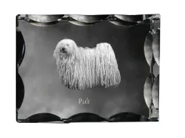 puli-krysztal-ze-zdjeciem-psa-szklana-statuetka-ze-zdjeciem-wyjatkowa-r