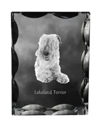 lakeland-terrier-krysztal-ze-zdjeciem-psa-szklana-statuetka-ze-zdjeciem
