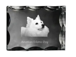 american-eskimo-dog-american-spitz-krysztal-ze-zdjeciem-psa-szklana-sta