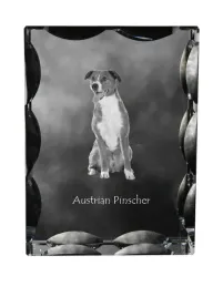 pinczer-austriacki-austrian-pinscher-krysztal-ze-zdjeciem-psa-szklana-s