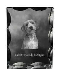 basset-bretonski-basset-fauve-de-bretagne-krysztal-ze-zdjeciem-psa-szkl