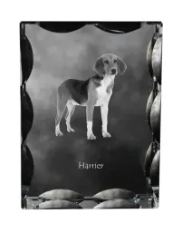 harrier-krysztal-ze-zdjeciem-psa-szklana-statuetka-ze-zdjeciem-wyjatkow