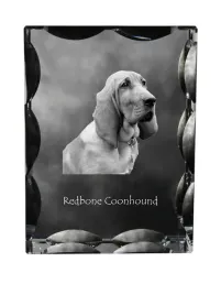 redbone-coonhound-krysztal-ze-zdjeciem-psa-szklana-statuetka-ze-zdjeciem