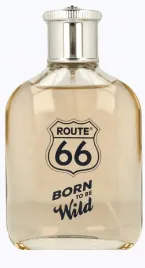 route66-born-to-be-wild-woda-toaletowa-men-100-ml