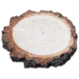 plastry-drewna-brzozowe-krazki-dwustronnie-szlifowane-8-10-cm