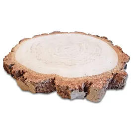plastry-drewna-brzozowe-krazki-dwustronnie-szlifowane-12-15-cm