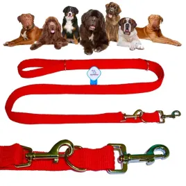 smycz-dla-duzego-psa-regulowana-przepinana-320-cm-4-przepiecia-tkana-mocna