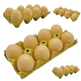 megadidi-jajka-nauka-liczenia-wytloczka