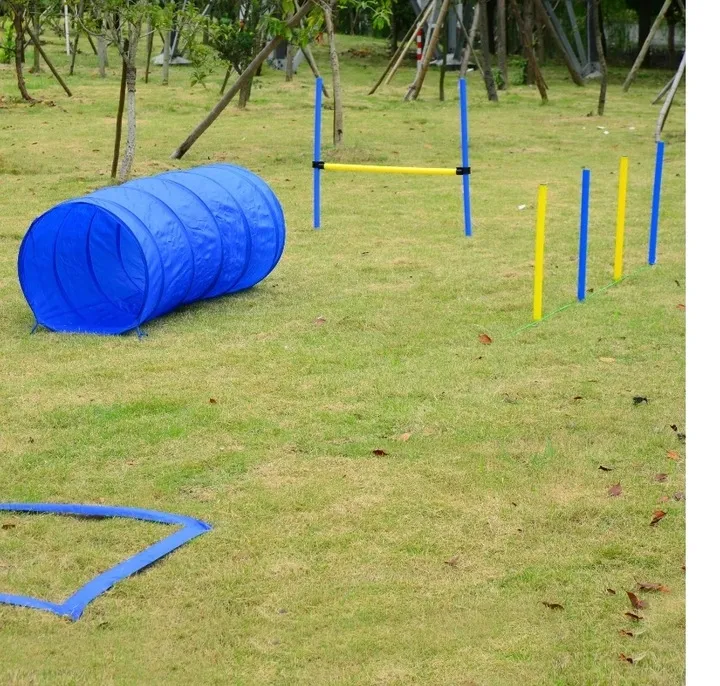 pawhut-zestaw-agility-dla-psa-slalom-tunel-plotki