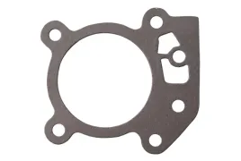 uszczelka-glowicy-briggsandstratton-799586-oryginal