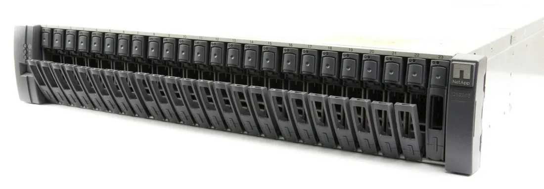 netapp-ds2246