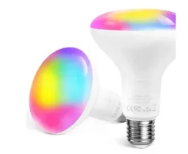 inteligentna-zarowka-sb53-13w-1300lm-led-wi-fi-zestaw-2-szt