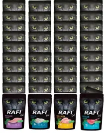 rafi-cat-karma-kota-mix-4-smakow-saszetka-40x100g