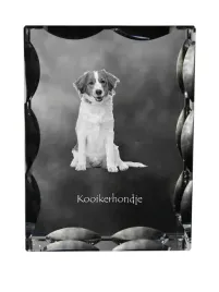 kooikerhondje-krysztal-ze-zdjeciem-psa-szklana-statuetka-ze-zdjeciem-wy